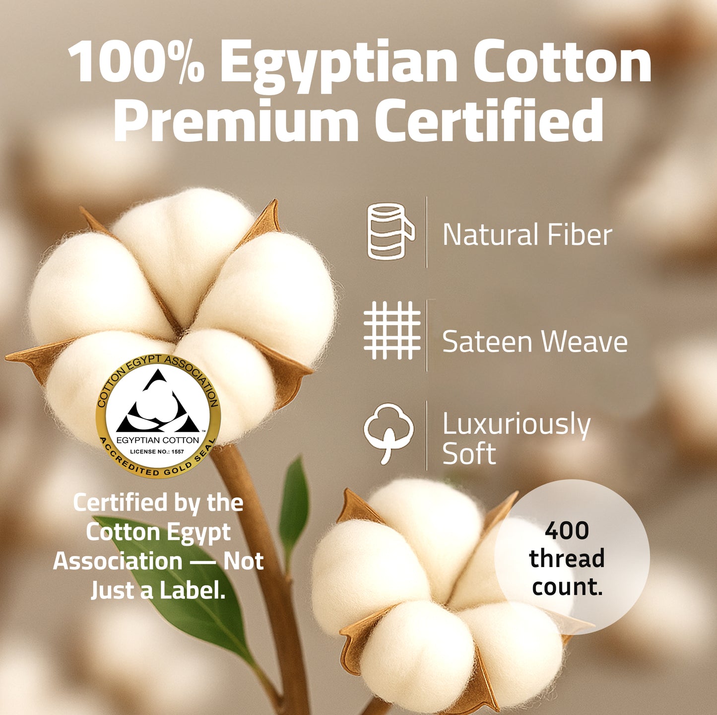100% Egyptian Cotton Sheets Twin Size - 400 TC White Bed Set - Made in India (3-Piece)