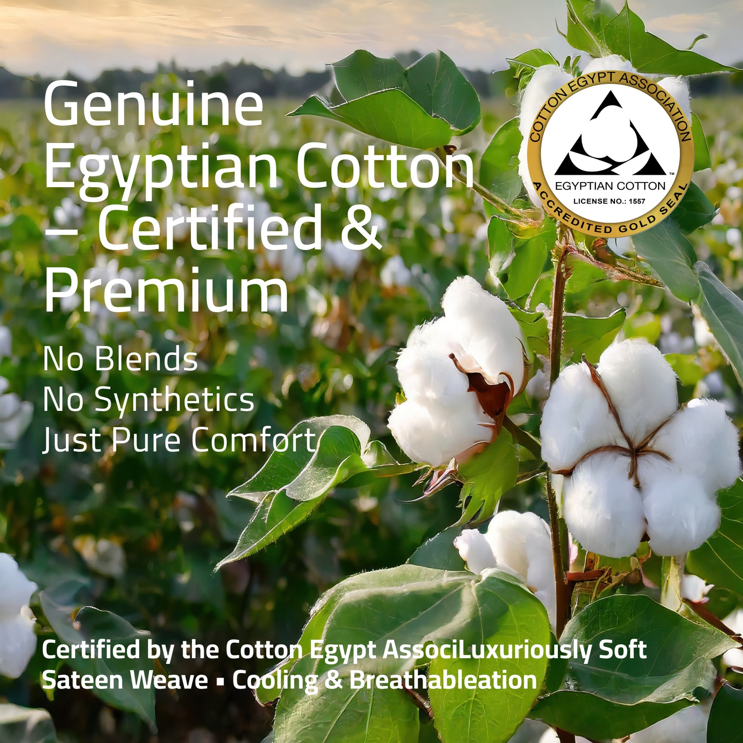 100% Egyptian Cotton White King Set – 400 TC  – Made in India