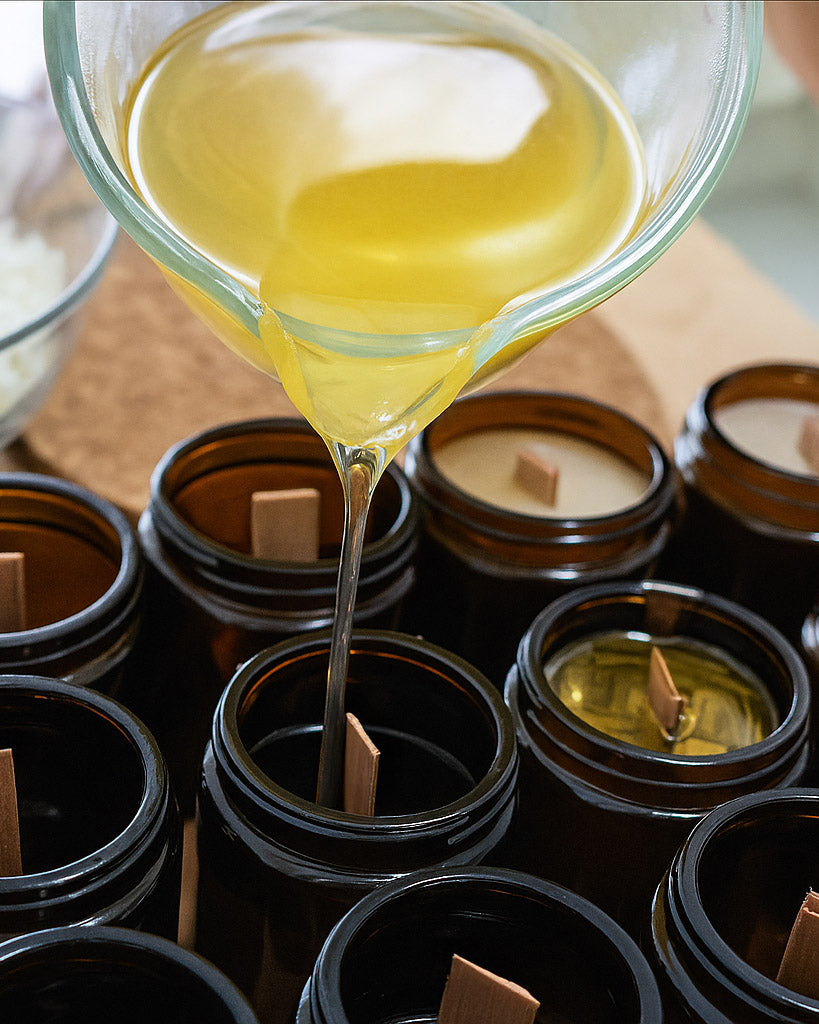 Candle Warmer Light and a Candle Bundle