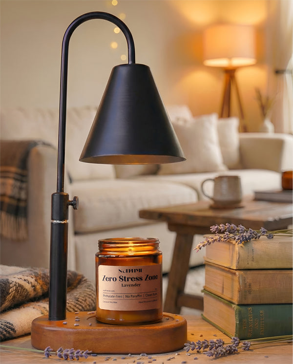 Candle Warmer Light and a Candle Bundle